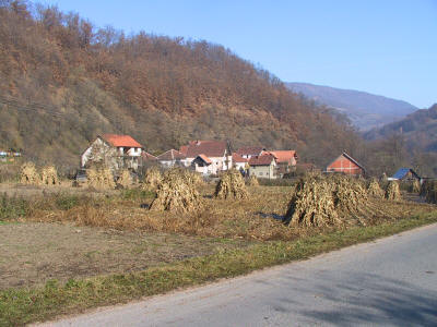 Corn heaps near Rudnik